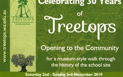 Celebrating 30 Years of Treetops